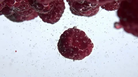 Ripe wet berries floating inside carbonated cocktail closeup. Organic raspberry 動画素材 219270492