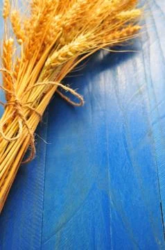 Ripe wheat bran on the table Stock Photos