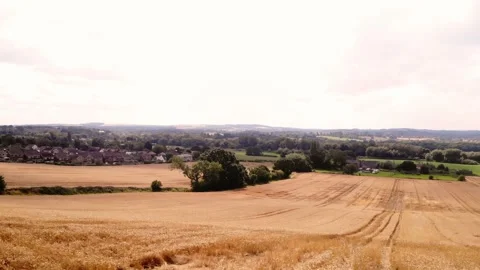 Ripe wheat crops in Yorkshire Stock Footage 284148151
