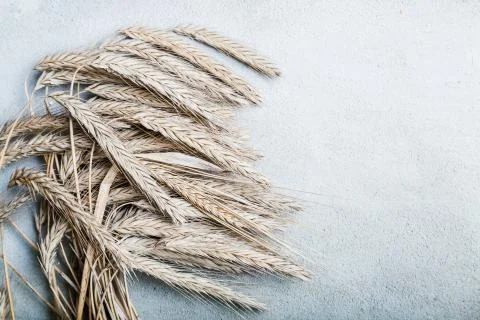 Ripe wheat on grey rustic background Stock Photos