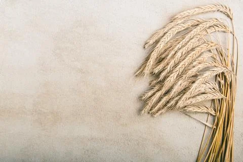 Ripe wheat on grey rustic background Stock Photos