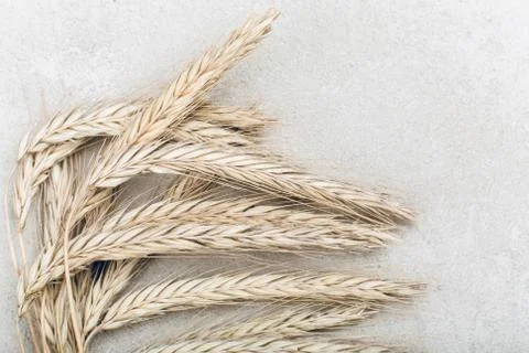Ripe wheat on grey rustic background Stock Photos