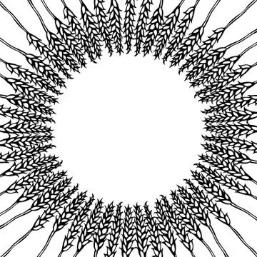 Ripe Wheat Spikelets Circle Card. Round Sun Shape Wreath of Malt with Space f Stock Illustration