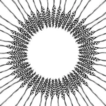 Ripe Wheat Spikelets Circle Card. Round Sun Shape Wreath of Malt with Space f Stock Illustration
