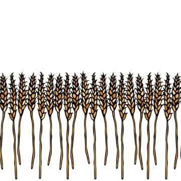 Ripe Wheat Spikelets Endless Brush. Border Ribbon of Malt with Space for Text Stock Illustration