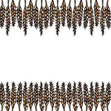 Ripe Wheat Spikelets Endless Brush. Border Ribbon of Malt with Space for Text Stock Illustration