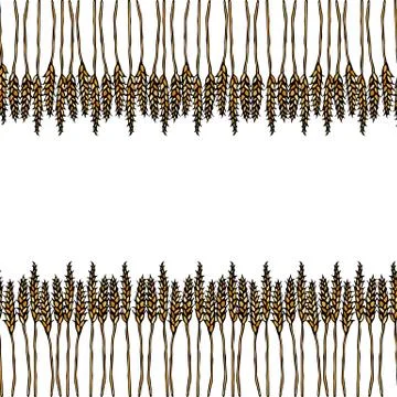 Ripe Wheat Spikelets Endless Brush. Border Ribbon of Malt with Space for Text Stockillustratie