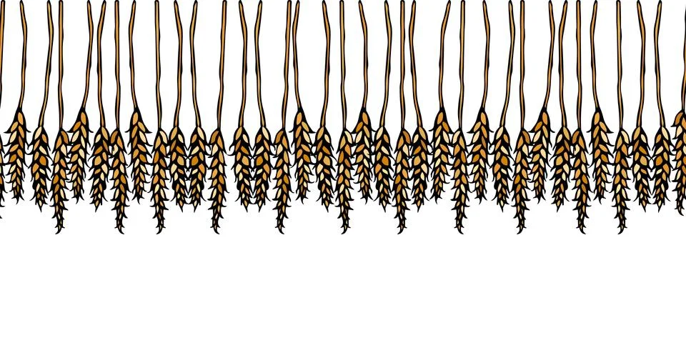 Ripe Wheat Spikelets Endless Brush. Border Ribbon of Malt with Space for Text Stock Illustration