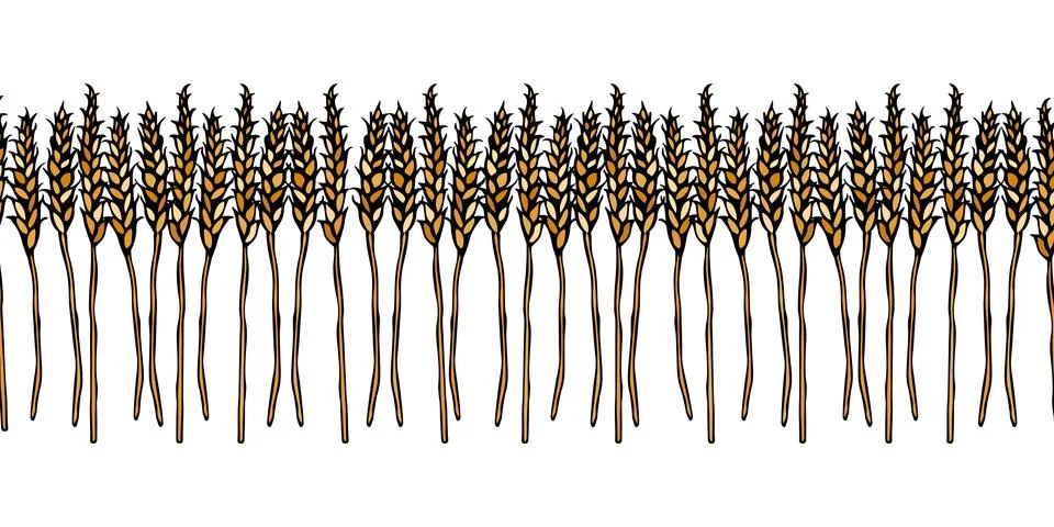 Ripe Wheat Spikelets Endless Brush. Border Ribbon of Malt with Space for Text Stock Illustration