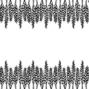 Ripe Wheat Spikelets Endless Brush. Border Ribbon of Malt with Space for Text Stock Illustration