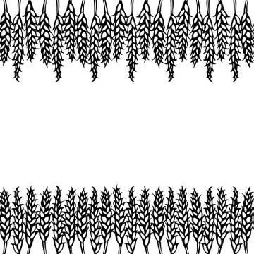 Ripe Wheat Spikelets Endless Brush. Border Ribbon of Malt with Space for Text Stockillustratie