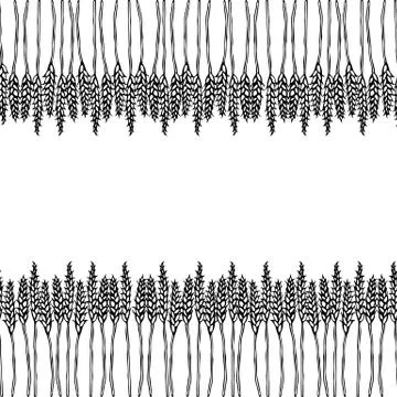 Ripe Wheat Spikelets Endless Brush. Border Ribbon of Malt with Space for Text Stock Illustration