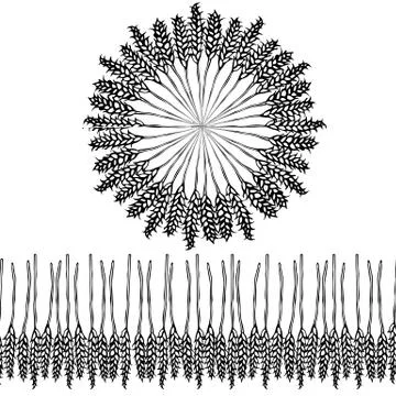 Ripe Wheat Spikelets Endless Brush. Round Wreath of Malt with Space for Text. Stock Illustration