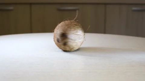 Ripe whole spinning coconut on the surface of the table. Video stock 133137116