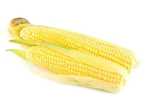 Ripe yellow corn Stock Photos