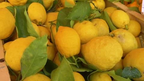 Ripe yellow lemons at outdoor fruit market Stock Footage 334656557