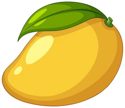 Ripe Yellow Mango Vector Illustration with Green Leaf on White Background イラスト素材