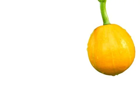 Ripe yellow orange pumpkin ready to cooking Stock Illustration