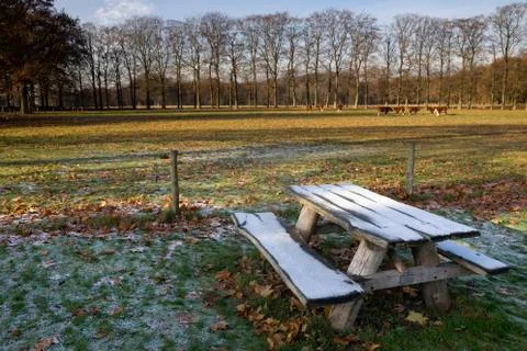 Riped picnic bench Stock Photos