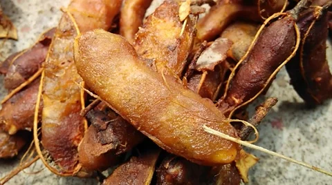 Riped  tamarind Stock Footage 49214750