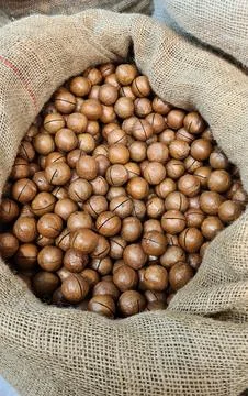 The ripened in-shell nuts are filled into large bags for sale at the city m.. Stock Photos
