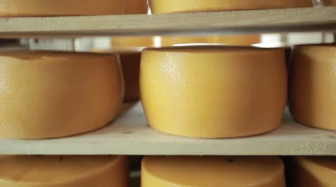Ripening cheese Stock Footage 49159786