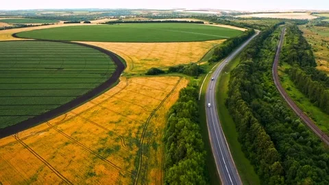 Ripening wheat ears growing in the field Stock Footage 203892151