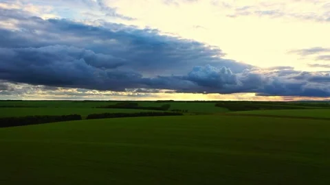 Ripening wheat ears growing in the field Stock Footage 203892204