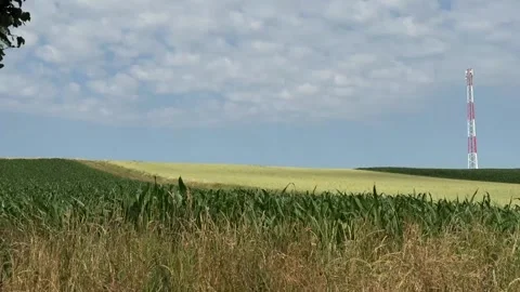 Ripening wheat fields stretch across rolling farmland with a telecommunications 動画素材 337789986