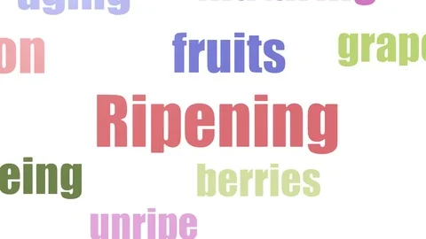 Ripening Word Cloud Animated Isolated Stock Footage 103672261