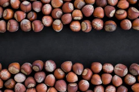 Ripe,shelled hazelnuts on black surface with copy space Stock Photos