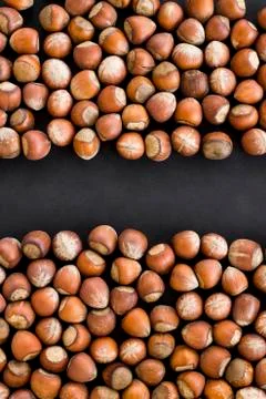 Ripe,shelled hazelnuts on black surface with copy space Stock Photos