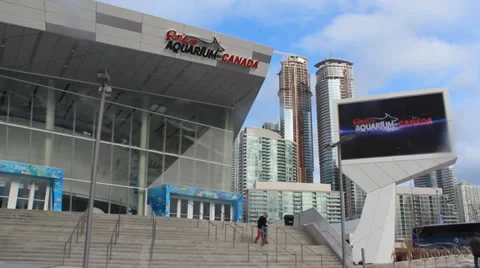 Ripley's Aquarium Stock Footage 35658491