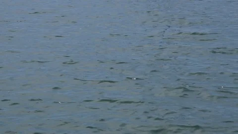 Ripling water Stock Footage 81931628