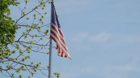 Ripped flag blowing in the wind Stock Footage 197886195