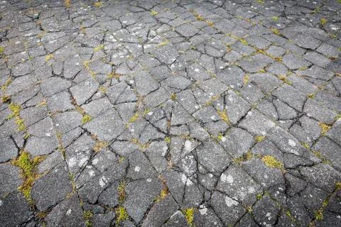 Ripped flag stone pattern with moss, for backgrounds Stock Photos