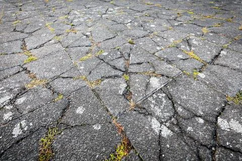 Ripped flag stone pattern with moss, for backgrounds Stock Photos