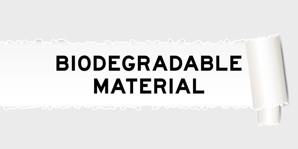 Ripped gray paper background that have word biodegradable material under to.. Stock Illustration