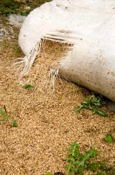 Ripped open Stock Photos