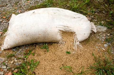 Ripped open Stock Photos