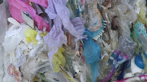 Ripped plastic bags moved by the wind Stock Footage 263611904