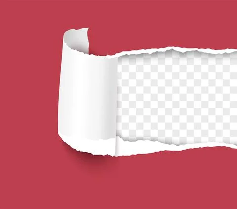 Ripped sheet with curl paper element isolated on transparent background Stock Illustration