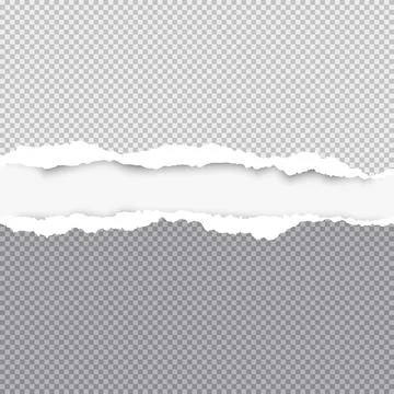 Ripped squared grey paper for text or message are on white background. Vector Stock Illustration