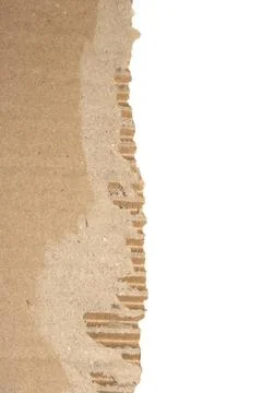 Ripped Up Torn Cardboard Box Packaging with Ridges on White Background Stock Photos