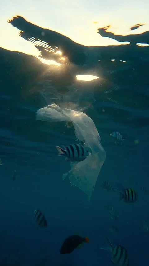 Ripped translucent plastic bag drifting under surface reflecting in it, around Stock Footage 332310824