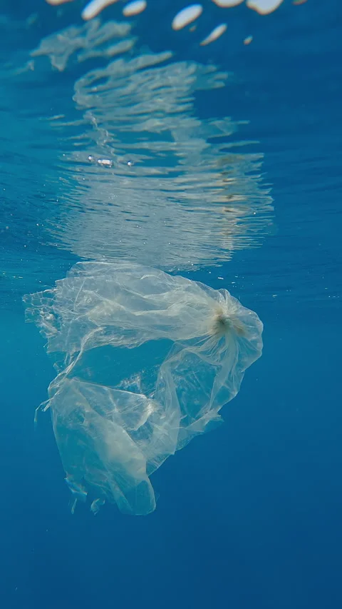 Ripped translucent plastic bag swimming beneath waves in turquoise water Stock Footage 345680198