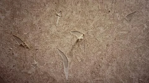 Ripped wallpaper Stock Photos