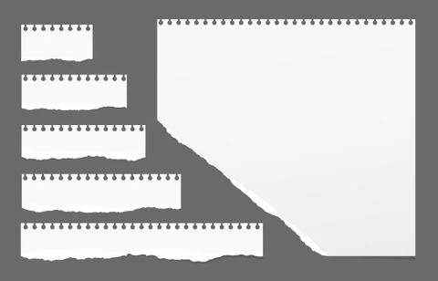Ripped white note strips, notebook, copybook paper sheet stuck on gray Stock Illustration