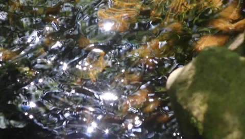 Ripping water Stock Footage 4890116