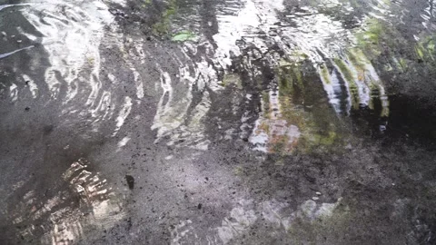 Rain Puddle Ripple Stock Footage ~ Royalty Free Stock Videos | Pond5